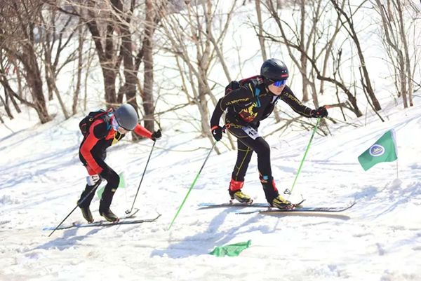 2030年冬奥会滑雪登山扩军至5金 中国队全面开启新周期备战